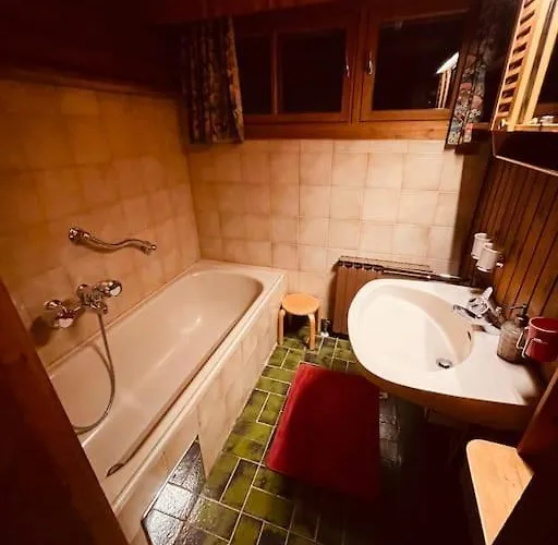 Haus An Der Planai * 斯拉德明